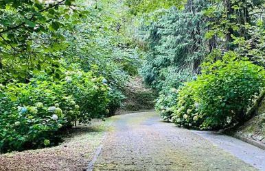 Il Bosco di Campo Marzano studios - Foto 8