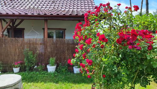 Brzozowa Chatka - Dom nad Jeziorem - Wellness & Ceragem - Foto 5, Garden, Garden view