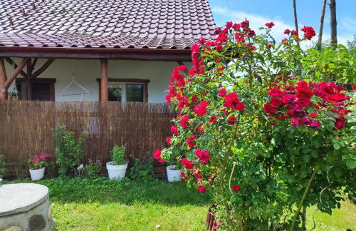 Brzozowa Chatka - Dom nad Jeziorem - Wellness & Ceragem - Foto 5