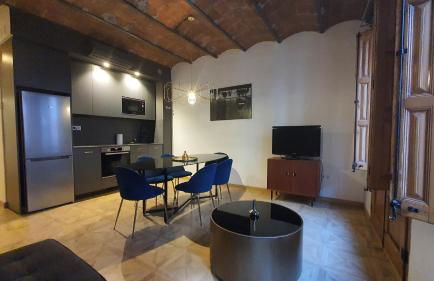 Barrio Gotico Apartments Escudellers - Foto 33