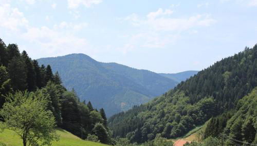 Ferienparadies Hugenhof - Foto 4