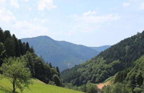 Ferienparadies Hugenhof - Foto 4