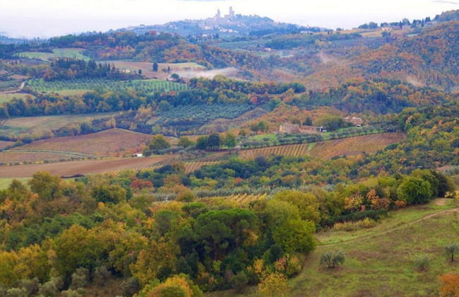 Spacious Tuscan Farmhouse - Foto 27