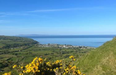 Tavnaghoney Cottages - Foto 16