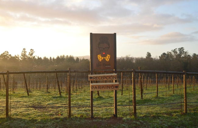 Enoturismo María Manuela - Photo 50