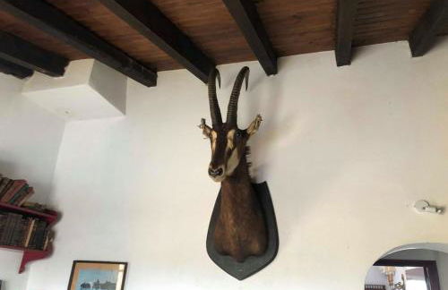 Monte da Figueira - Foto 16