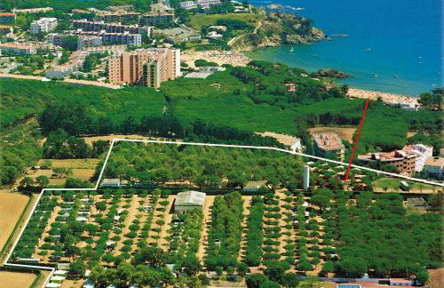 Cozy Glamping Chalet in Palams with Garden View - Foto 11