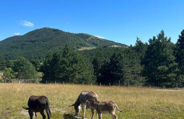 MOREBIT - between sea and mountains - Foto 76