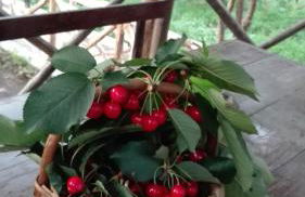 Agriturismo Mare e Monti - Foto 92