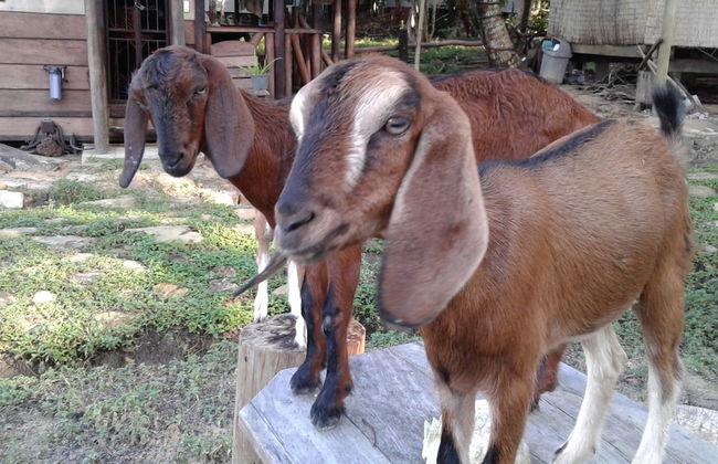 Cupido Beach SPA Resort - Foto 23