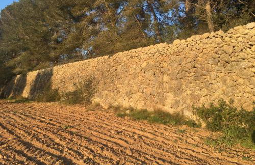 Casa con gran jardín cerca de la playa - BAIX - Foto 49
