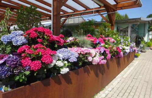 Ferienwohnung Irene Dorn // Andechs - Foto 17
