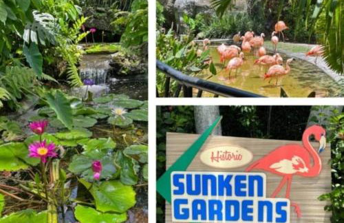 3 TVs Pool Spa W/D Netflix 20 mins to Airport A/C - Foto 52