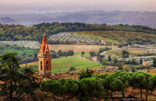 Borgo San Gusmè - Foto 18