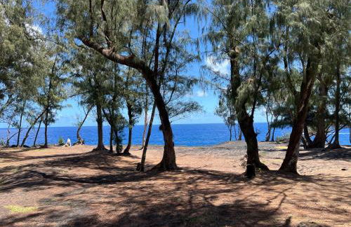 Comfort Nest - Foto 55