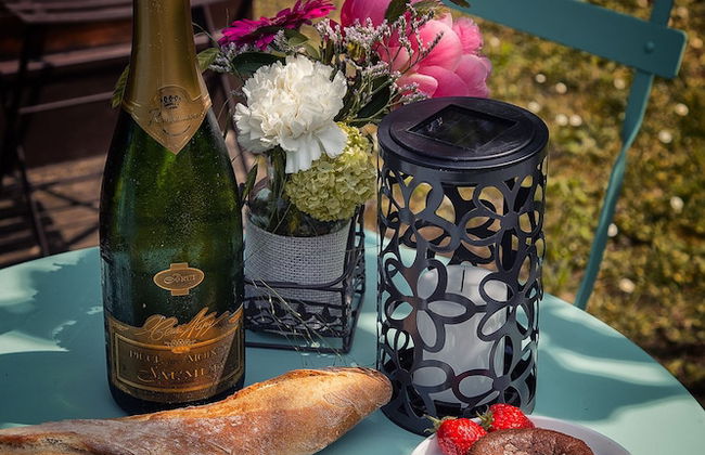 Carré d'Etoiles Paleine - Foto 13