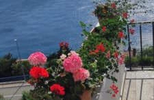 Apartman David - Foto 9