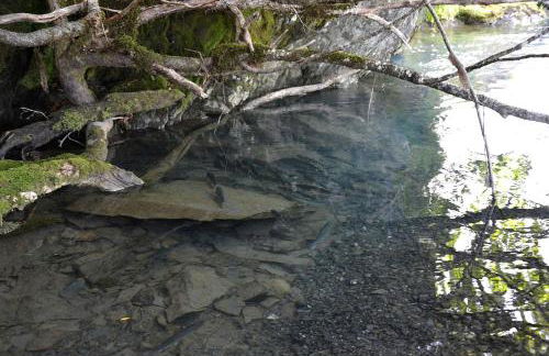 Secluded Waterfront Cottage Rental near Anchorage, Alaska - Foto 11