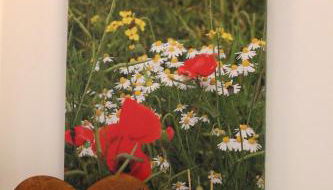 Das BilderbuchCafe - Ferien - Apartment NO 3 - Markt 7 - Foto 2