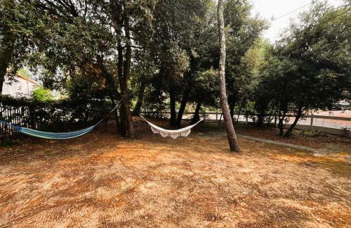 La Belle Etoile - Foto 14