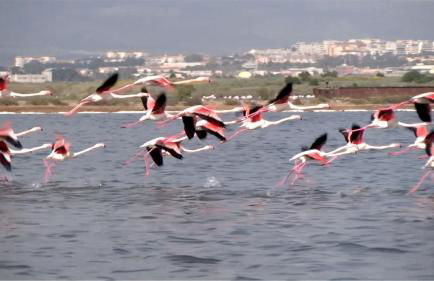 Casa vacanze Sea&Sun - Foto 42