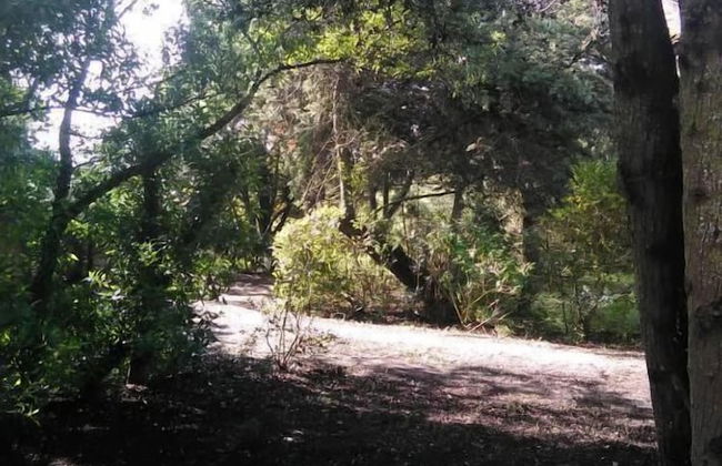 Nature Houses - Foto 41