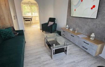 Apartament Gabi - Foto 8