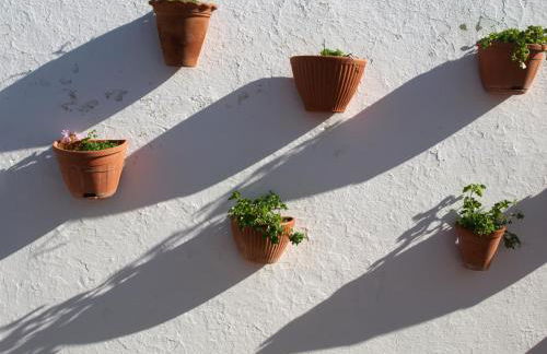 Casa de Campo, Quinta do Funchal - Foto 20