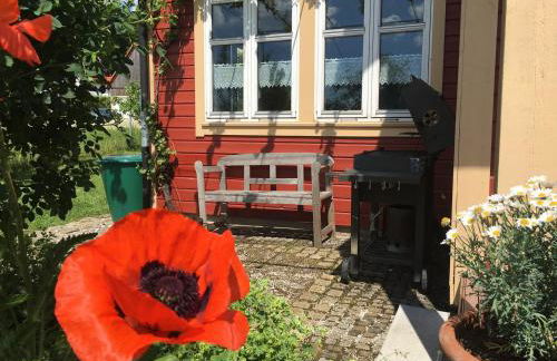 Holzferienhaus - Foto 5