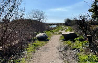 Caban Y Tan Dderwen with private Wood Fired Hot Tub - Foto 35