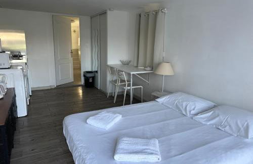 Tours, Touraine et Chateaux de la Loire - Foto 14