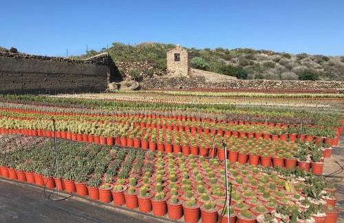 Finca La Punta - Foto 77