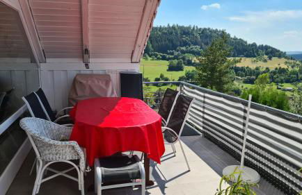 'Tor zum Schwarzwald' Ferienwohnungen mit Sauna - Foto 28