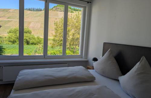 Winzervilla Kammerhof - 3x stilvolle & geräumige FeWos mit Moselblick, 2-12 Gäste buchbar, direkt am Moselradweg - Foto 47