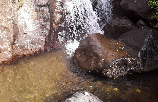 Mount view family rest & cottage - Photo 35