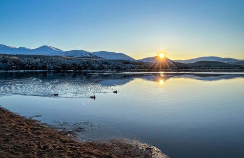 Broom Cottage - Foto 35