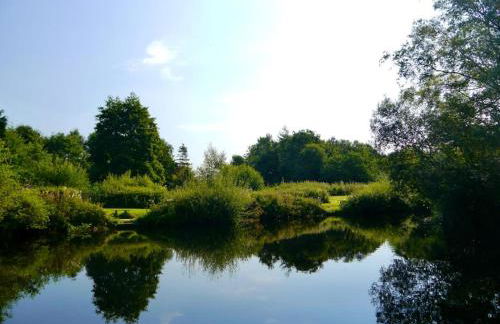 The Ferny Hoolet - Foto 21