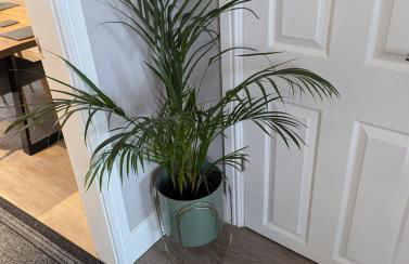 Robin Cottage - Foto 17