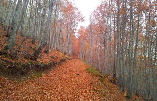 Apartamentos Turísticos Real Valle Ezcaray - Foto 103