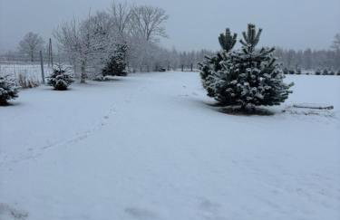 Przystanek IZERY - Foto 27