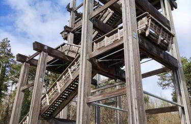 Le Dom’Aisne à Zabeth, lieu simple et paisible *** - Photo 32