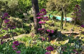 Bastide Cigaline - Foto 51