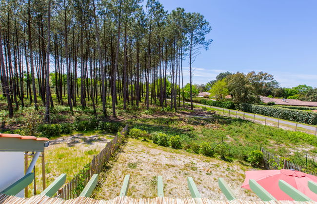 Les Fougères - Foto 27