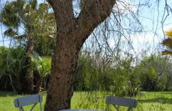 Villa Vinne Cirase - Foto 29