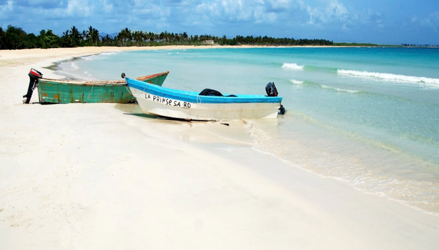 Saona Island - Full-Day Tour with Hotel Pick-Up - Foto 5