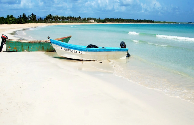 Saona Island - Full-Day Tour with Hotel Pick-Up - Foto 5