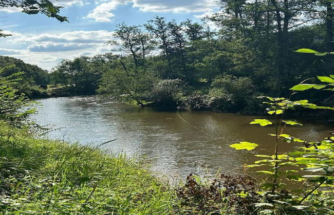 Holiday Home in Durbuy Near Ourthe River - Photo 26