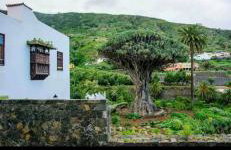 Mireya home - Foto 37