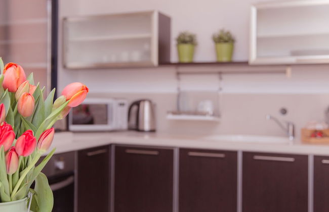 Shenkin Vilmar Apartments - Foto 46