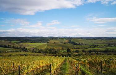 Villa Il Castagno Wine & Resort - Photo 36